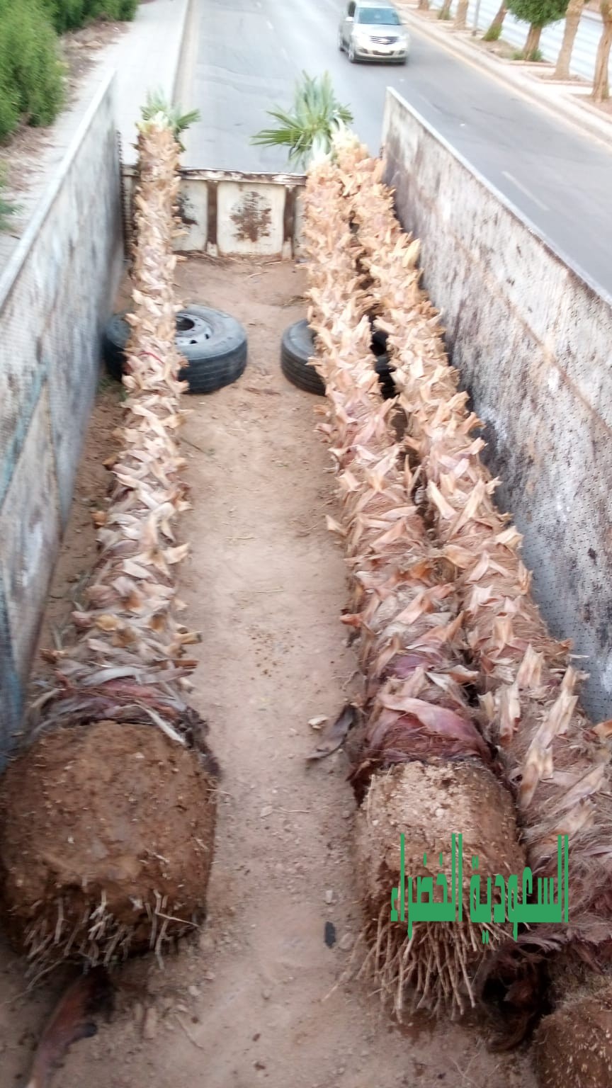 مقاول شبوك المزارع بجميع انوعهاء