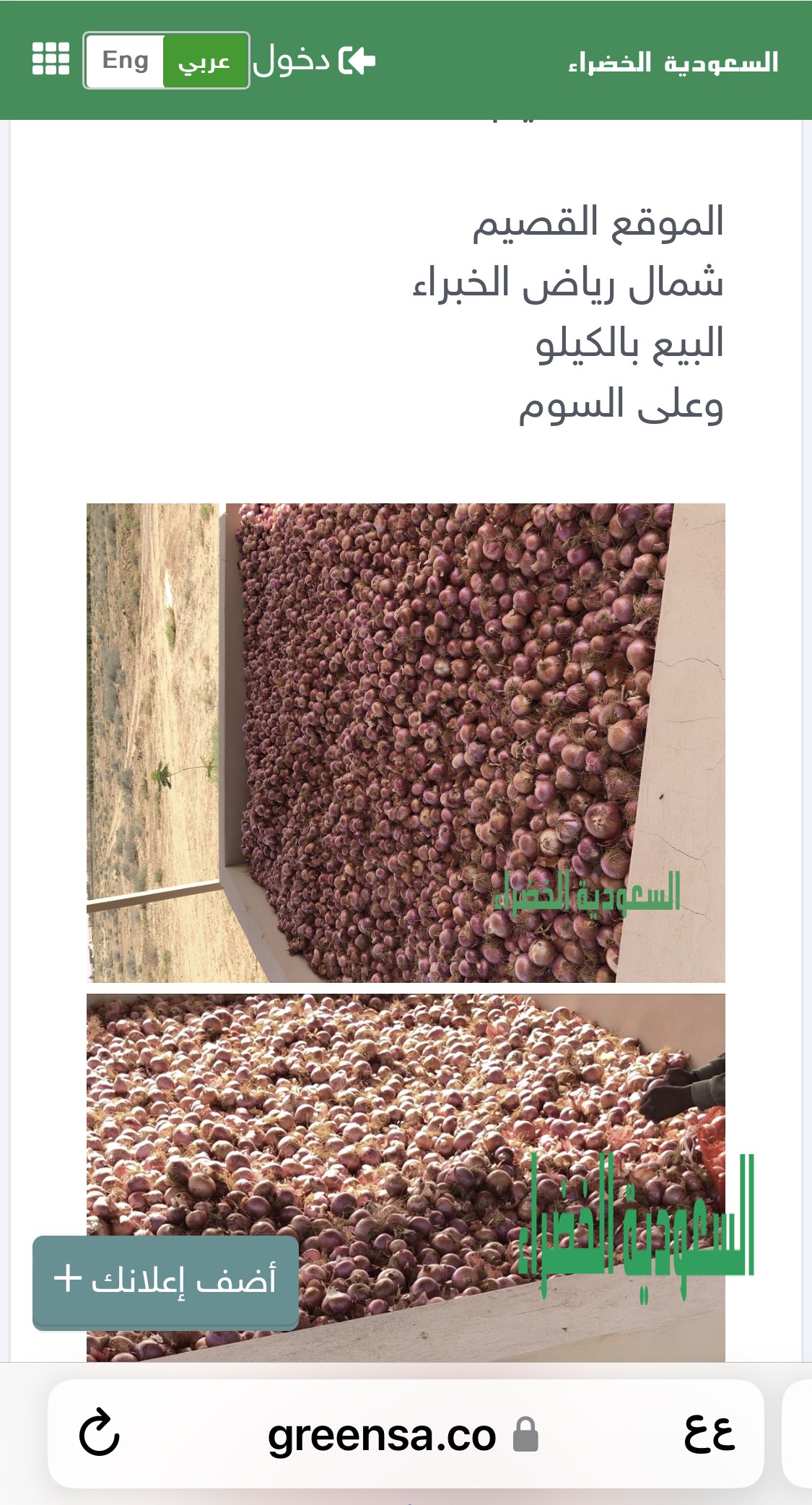 مزاد على كمية من البصل