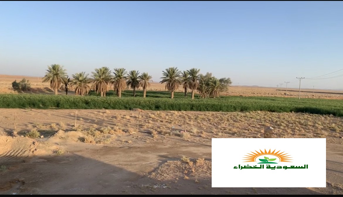 للبيع مزرعه في القصيم - الفواره