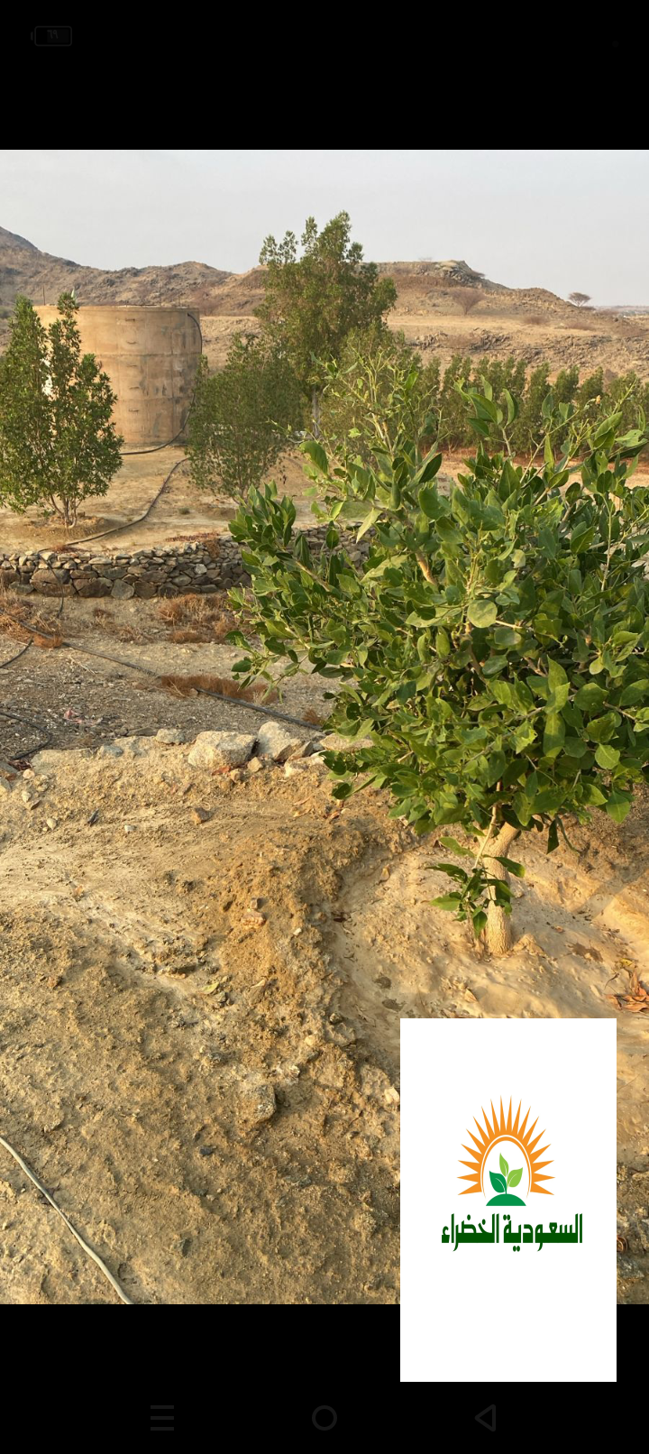 مزرعه للبيع او الايجار بالفطيحه