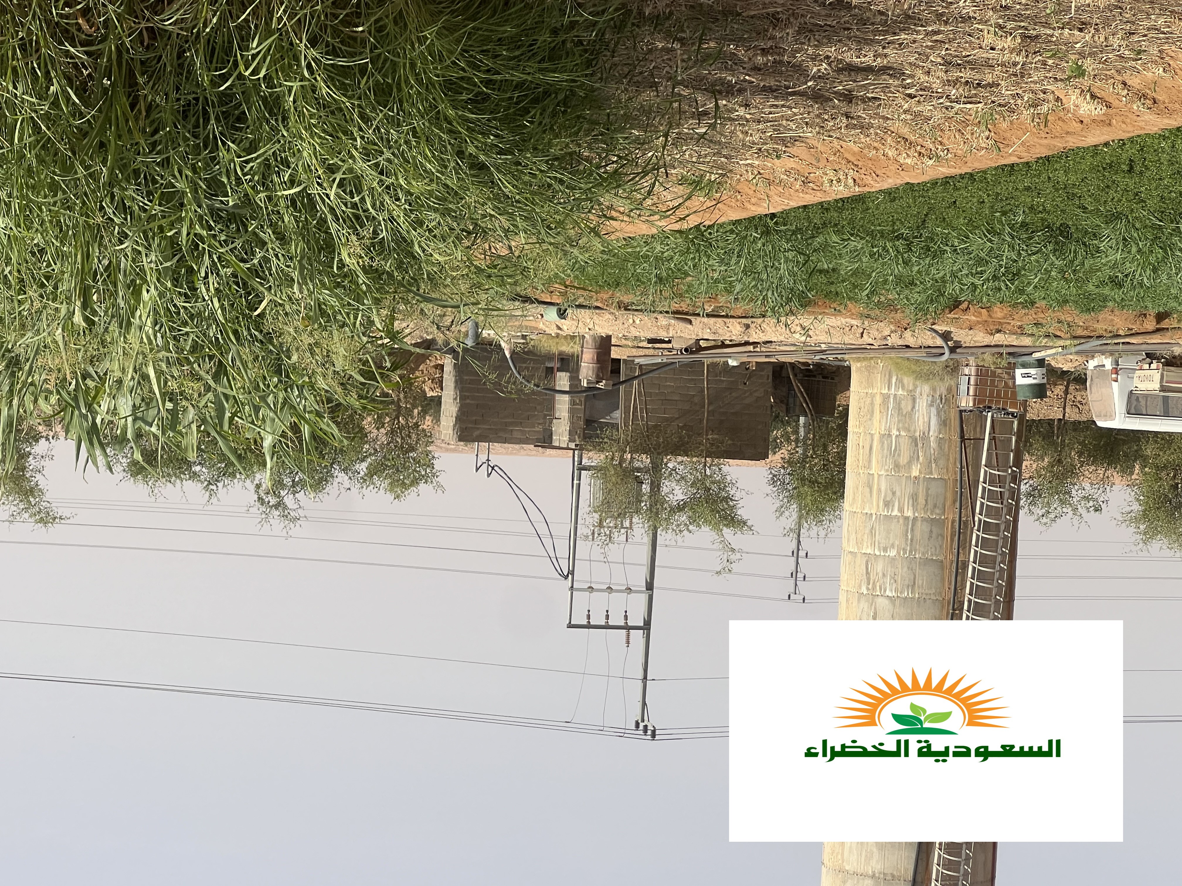 ارض زراعيه للإيجار