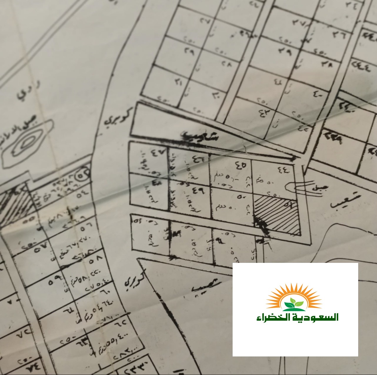 فرصة استثمار زراعي | أرض كبيرة قريبة من العلا رقم 46